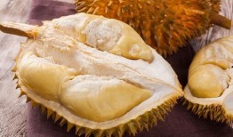 榴莲皮肤爆料视频下载,揭秘神秘新英雄的华丽蜕变