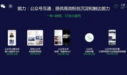 3.5卡池爆料视频,新角色与机制前瞻解析