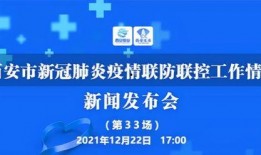 西安基金最新爆料新闻,揭秘项目进展与市场动态
