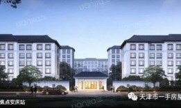 武汉桃李春风最新爆料,揭秘项目神秘面纱背后的惊喜与挑战