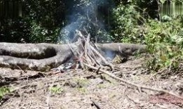 野外求生爆料视频大全最新,揭秘最新爆料视频大全