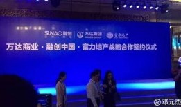 富力董事长爆料视频大全,独家爆料视频大全深度解析