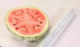 吃瓜小记免费阅读,免费阅读背后的故事