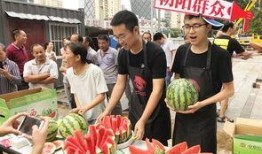 朝阳免费吃瓜网,揭秘都市生活趣味圈，畅享免费美食盛宴