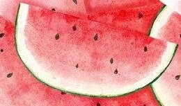 吃瓜素材视频大全免费无水印,吃瓜素材视频大全，轻松获取欢乐瞬间