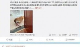 罗志祥爆料微博视频大全,揭秘娱乐圈背后的真相