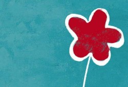 一坨小红花爆料视频大全,揭秘娱乐圈幕后故事