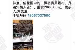 网络最新爆料视频大全集,视频大全集深度解析