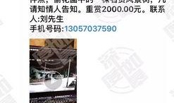 网络最新爆料视频大全集,视频大全集深度解析