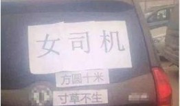 云南爆料女司机视频,女司机视频引发热议，真相究竟如何？