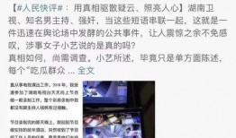 佳艺某人爆料视频在线观看,揭秘幕后真相，在线观看引发热议