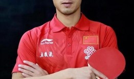 新闻人员爆料张继科视频,真相与争议并存