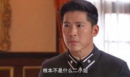 刘大锤爆料赵姓艺人视频,真相背后引人深思