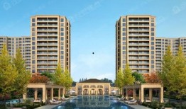 武汉桃李春风最新爆料,揭秘项目神秘面纱背后的惊喜与挑战