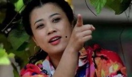 王红梅爆料闫学晶视频,娱乐圈风波再起