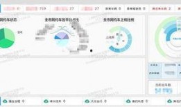 上海网约车最新爆料平台,平台动态与行业变革