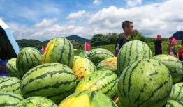 梁山网红景点吃瓜视频,揭秘幕后故事与热门话题