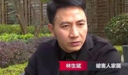 林生斌最新爆料幼儿舞蹈,揭开儿童娱乐产业的黑暗面
