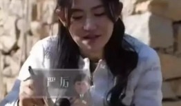 厨子黄磊爆料视频大全集,厨子黄磊爆料视频大全集精彩回顾