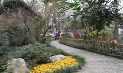 成都公园爆料视频最新版,揭秘公园里的秘密角落与奇遇记