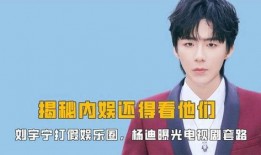 娱乐圈爆料视频制作,揭秘明星幕后真相