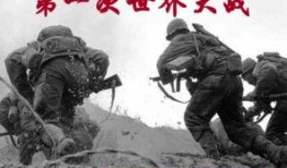 世界大战在线观看,在线重现历史硝烟