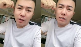 林先生爆料最新,揭秘娱乐圈最新劲爆事件