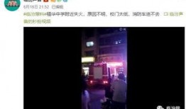 最新高校爆料视频播放网站,最新爆料带你一探究竟