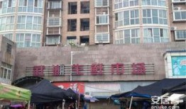 武汉桃李春风最新爆料,揭秘项目神秘面纱背后的惊喜与挑战