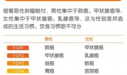 2020年娱乐大爆料,年度娱乐圈风云录