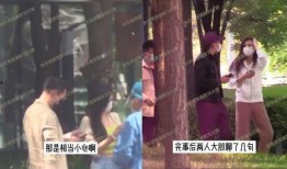 刘大锤爆料汪小菲视频,揭秘背后惊人真相