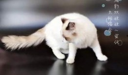 吃瓜萌主小仙女免费阅读,免费阅读，畅享欢乐时光