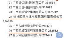 广西最新爆料公司,揭秘神秘公司崛起背后的故事