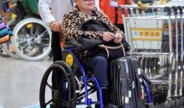 娱乐吃瓜君轮椅,轮椅上的娱乐达人，带你领略不一样的娱乐圈风采