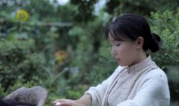 李子柒视频爆料,传统农耕与现代艺术的完美融合