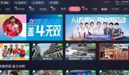 成都彩虹爆料事件视频播放,视频内容引发社会关注与热议