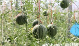 梁山网红景点吃瓜视频,揭秘幕后故事与热门话题