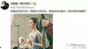 吃瓜娱乐刘诗诗